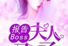 沈千歌阎默寒汤少龙是哪本书的主角？寻找报告Boss：夫人又怀了免费阅读-薯片文学