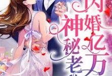 闪婚亿万神秘老公小说，闪婚亿万神秘老公免费阅读-薯片文学