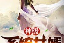 神级系统女婿小说全文哪里可以免费看？-薯片文学