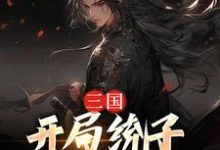 《三国：开局统子向我投靠》小说章节在线试读，《三国：开局统子向我投靠》最新章节目录-薯片文学