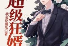 男女主人公叫陈英雄何婧妍的小说免费资源-薯片文学