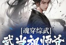 魂穿综武：武当祖师爷出山了张三丰小说免费阅读-薯片文学