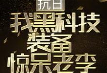 胡从戎秦蓉是哪本书的主角？抗日：我黑科技装备惊呆老李免费读-薯片文学