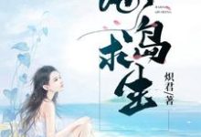 海岛求生章节免费在线阅读，王新张蕊完结版-薯片文学