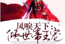 完结版《凤唳天下：倾世帝王宠》章节阅读-薯片文学