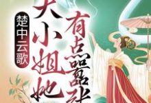 《楚中云歌：大小姐她有点嚣张》全集免费在线阅读（楚云歌夜澜天）-薯片文学