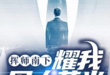 完结版《挥师南下，耀我军人荣光》章节阅读-薯片文学