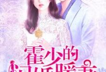 完结版《霍少的闪婚暖妻》免费阅读-薯片文学