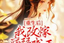 完结版《重生后，我改嫁病弱残王扶他上位》章节阅读-薯片文学