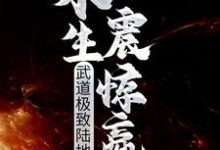 《武道极致陆地神仙，永生震惊嬴政》小说主角段小纯黄蓉章节章节免费在线阅读-薯片文学