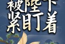 完结版《小太监她被陛下紧盯着》章节阅读-薯片文学