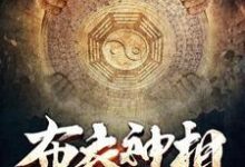 陆缘林诗诗是哪本书的主角？寻找布衣神相免费阅读-薯片文学