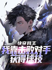 完结版《快穿网王：我靠击败对手获得球技》在线免费阅读