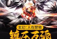 完结版《玄幻：人在禁地，镇压反派的我无敌了》免费阅读-薯片文学