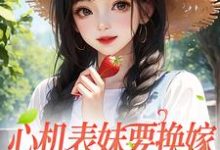 完结版《心机表妹要换嫁，我笑着同意》章节目录在线阅读-薯片文学