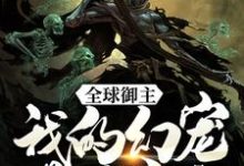 完结版《全球御主：我的幻宠是死神》章节阅读-薯片文学