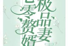 七零赘婿极品妻这本小说完结了吗？免费查看最新章节-薯片文学