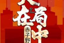 主人公高宏;姜漫小说人在局中：赤子野心在线章节阅读-薯片文学