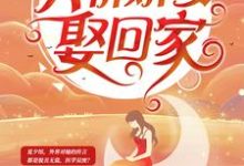 夏夕绾陆寒霆的故事在哪本书里？免费阅读陆少深深宠：天价娇妻娶回家-薯片文学