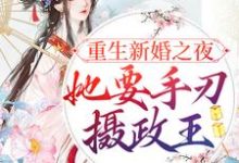 完结版《重生新婚之夜，她要手刃摄政王》免费阅读-薯片文学