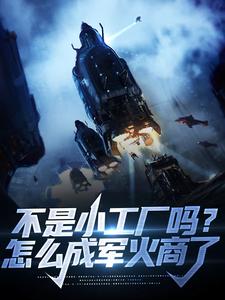 小说《不是小工厂吗？怎么成军火商了》章节免费阅读