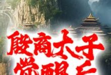 殷商太子觉醒后，碎了封神榜免费阅读，殷商太子觉醒后，碎了封神榜殷郊-薯片文学