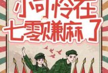 完结版《军婚甜蜜蜜：小可怜在七零赚麻了》章节阅读-薯片文学