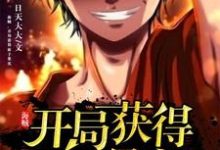 寻找海贼:开局获得面子果实小说的最新更新章节-薯片文学