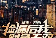 免费在线阅读鉴宝:开始捡漏后我财色无双小说的正规网站有哪些?-薯片文学