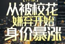 《神豪：从被校花嫌弃开始身价暴涨》小说章节在线试读，《神豪：从被校花嫌弃开始身价暴涨》最新章节目录-薯片文学