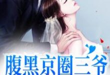 完结版《腹黑京圈三爷，只对她心动》免费阅读-薯片文学