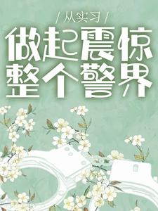 从实习做起震惊整个警界方觉夏，从实习做起震惊整个警界小说免费阅读