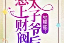 《惹上财阀太子爷后，她腰酸了》全集免费在线阅读（秋圆凌墨白）-薯片文学