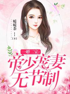 一婚二宝：帝少宠妻无节制这本小说在哪里可以看？哪里有免费试读章节？