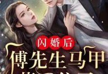 完结版《闪婚后：傅先生马甲藏不住了》在线免费阅读-薯片文学