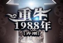 重生1988年刘天齐张雨欣在线章节免费阅读-薯片文学