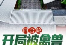 杨浩为主角的小说好看吗？求四合院：开局被禽兽们搬空家免费试读-薯片文学