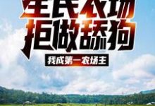 完结版《全民农场：拒做舔狗，我成第一农场主》章节阅读-薯片文学