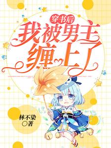 穿书后我被男主缠上了（沈婉儿夜卫昭）在线免费阅读