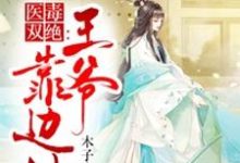 《医毒双绝:王爷靠边站》全集免费在线阅读(顾清灵东方凛)-薯片文学