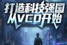 打造科技强国，从VCD开始（徐华盛）在线免费阅读-薯片文学