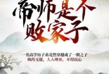 小说《大朝之势：帝师是个败家子》章节免费阅读-薯片文学