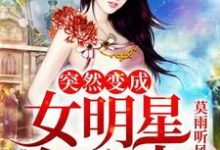 在线寻找突然变成了女明星怎么办小说的无删减版本-薯片文学