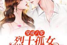 《穿成六零烈士孤女，开局闪婚军官》小说章节列表免费试读，唐月小说在线阅读-薯片文学