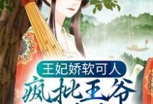 完结版《王妃娇软可人，疯批王爷日日求负责》章节阅读-薯片文学