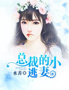 总裁的小逃妻冷浩轩秦梦雅，总裁的小逃妻在线无弹窗阅读
