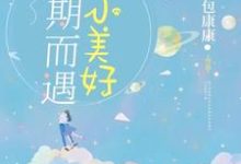 完结版《不期而遇的小美好》章节目录在线阅读-薯片文学