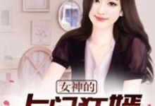 《女神的上门狂婿》小说章节在线试读，《女神的上门狂婿》最新章节目录-薯片文学