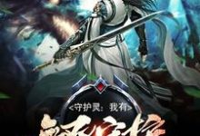 完结版《守护灵：我有无双守护系统》章节目录在线阅读-薯片文学