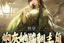 完结版《快穿：炮灰她踹翻主角自己修仙上位》免费阅读-薯片文学